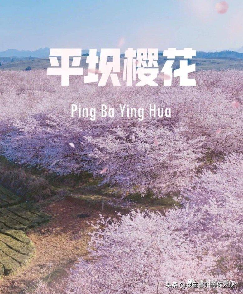 高段位礼物|实用派+走心派,“人见人爱”的新年清单请收好!